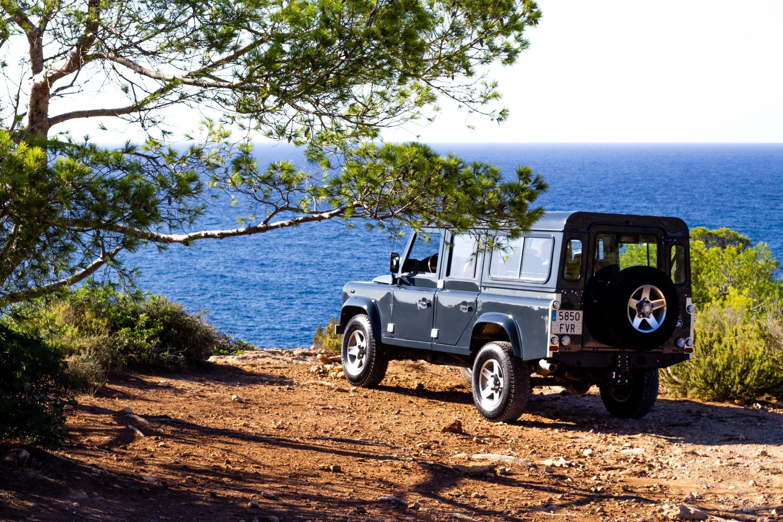 Restoration Projects at Ibiza Defenders